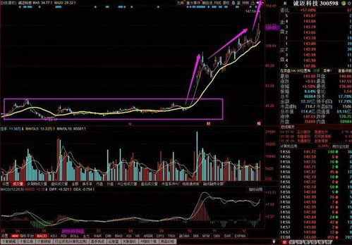 誠(chéng)邁科技 深度綁定華為生態(tài)，軟硬件協(xié)同發(fā)力鑄就高成長(zhǎng)